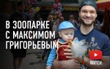В зоопарке с Максимом Григорьевым (видео)